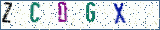 Type the letters shown in the picture