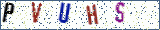 Type the letters shown in the picture