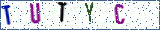Type the letters shown in the picture