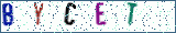 Type the letters shown in the picture
