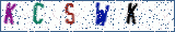 Type the letters shown in the picture
