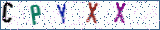 Type the letters shown in the picture