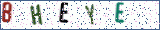 Type the letters shown in the picture