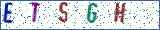 Type the letters shown in the picture