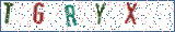 Type the letters shown in the picture
