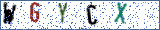 Type the letters shown in the picture
