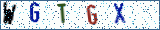 Type the letters shown in the picture