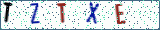 Type the letters shown in the picture