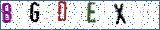 Type the letters shown in the picture