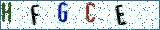 Type the letters shown in the picture