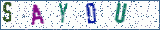 Type the letters shown in the picture