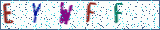 Type the letters shown in the picture
