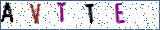 Type the letters shown in the picture