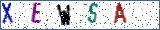 Type the letters shown in the picture