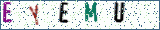 Type the letters shown in the picture