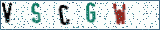 Type the letters shown in the picture