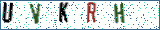 Type the letters shown in the picture
