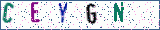 Type the letters shown in the picture