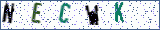 Type the letters shown in the picture