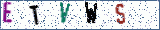 Type the letters shown in the picture