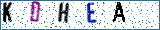 Type the letters shown in the picture