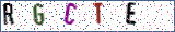 Type the letters shown in the picture