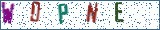 Type the letters shown in the picture