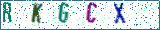 Type the letters shown in the picture