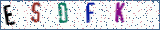 Type the letters shown in the picture