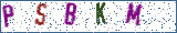 Type the letters shown in the picture