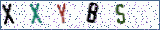 Type the letters shown in the picture