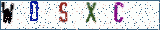 Type the letters shown in the picture