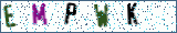 Type the letters shown in the picture