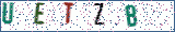 Type the letters shown in the picture