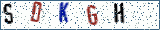 Type the letters shown in the picture