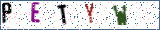 Type the letters shown in the picture