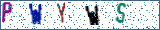 Type the letters shown in the picture