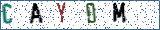 Type the letters shown in the picture