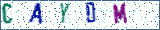 Type the letters shown in the picture