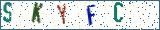 Type the letters shown in the picture