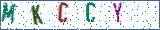 Type the letters shown in the picture