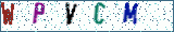 Type the letters shown in the picture