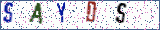 Type the letters shown in the picture