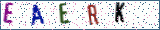 Type the letters shown in the picture