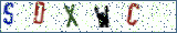 Type the letters shown in the picture