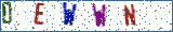 Type the letters shown in the picture