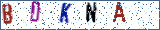 Type the letters shown in the picture