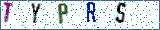 Type the letters shown in the picture