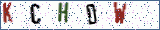 Type the letters shown in the picture