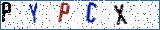 Type the letters shown in the picture